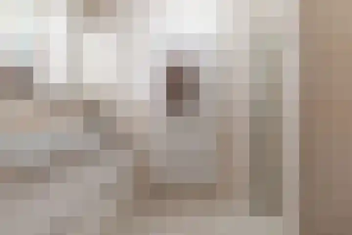J. Homan van der Heideplein 70 Maarssen thumbnail 34