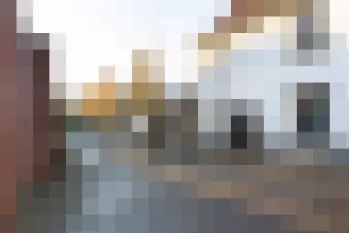 J. Homan van der Heideplein 70 Maarssen thumbnail 40