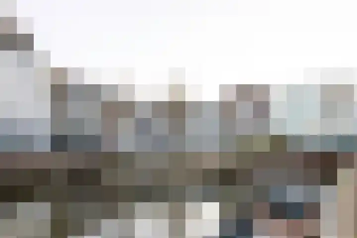J. Homan van der Heideplein 70 Maarssen thumbnail 43