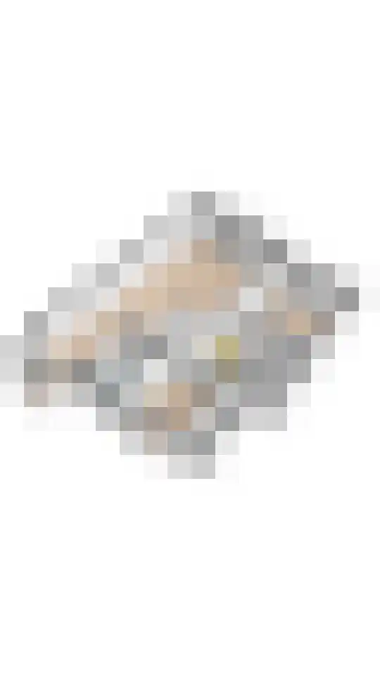 J. Homan van der Heideplein 70 Maarssen thumbnail 48