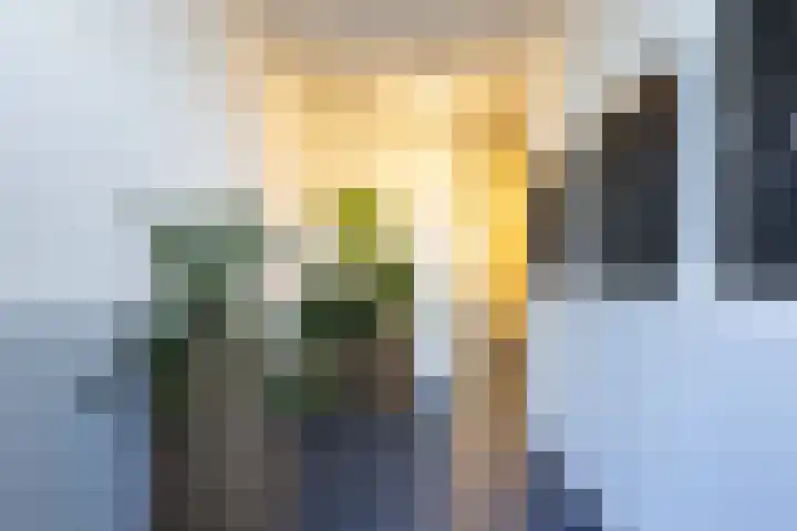 J. Homan van der Heideplein 70 Maarssen thumbnail 5