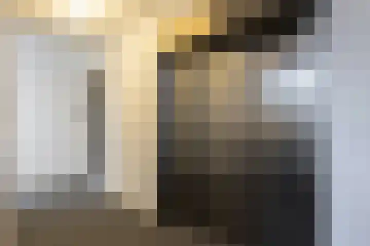 J. Homan van der Heideplein 70 Maarssen thumbnail 6
