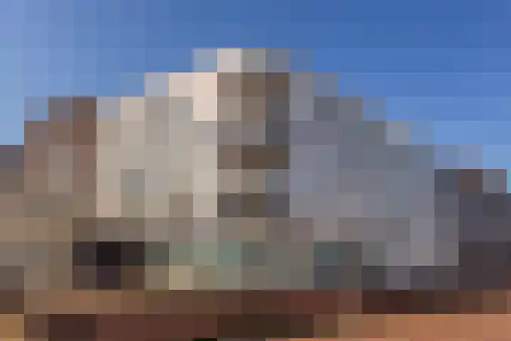 J. Homan van der Heideplein 8 Maarssen thumbnail 32