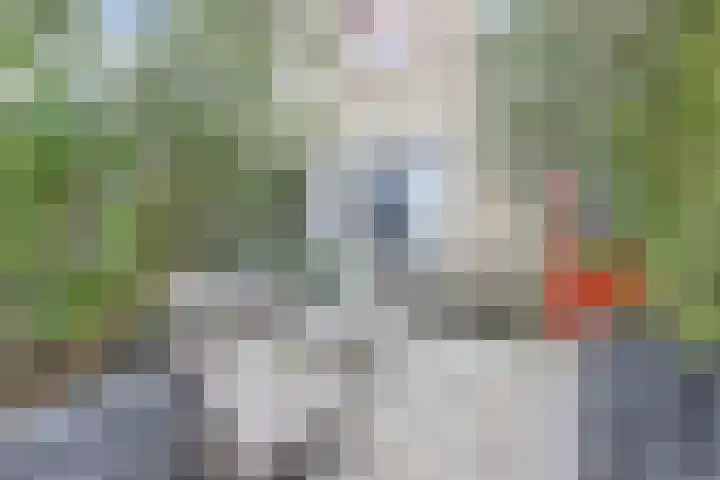 J. Huizingalaan 11 Middelburg thumbnail 26