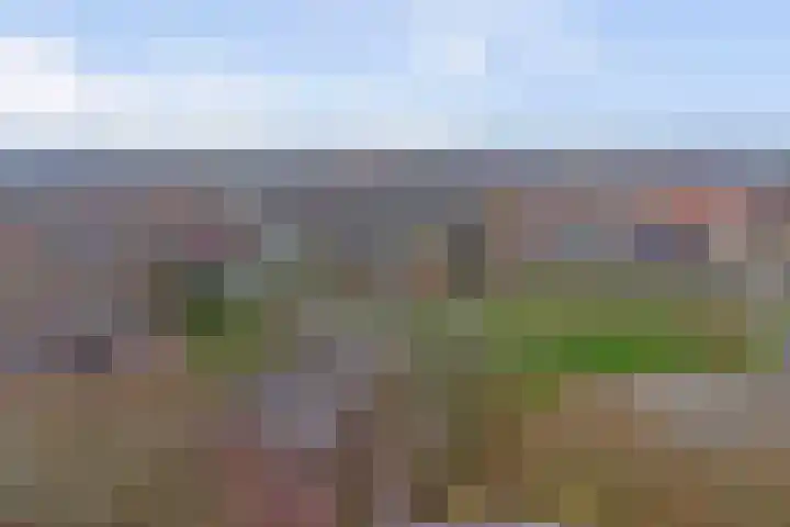 J. Huizingalaan 11 Middelburg thumbnail 33