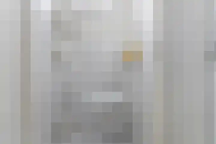 J.I. Sandersestraat 12 Oost-Souburg thumbnail 13