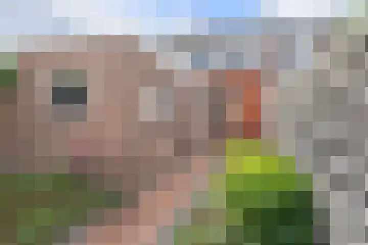 J.I. Sandersestraat 35 Oost-Souburg thumbnail 25