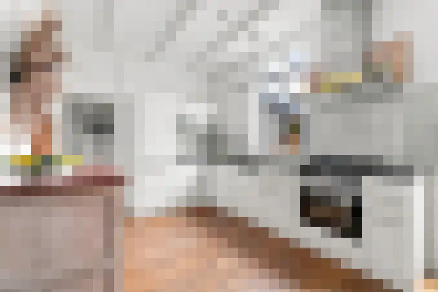 J.I. Sandersestraat 47 Oost-Souburg thumbnail 10