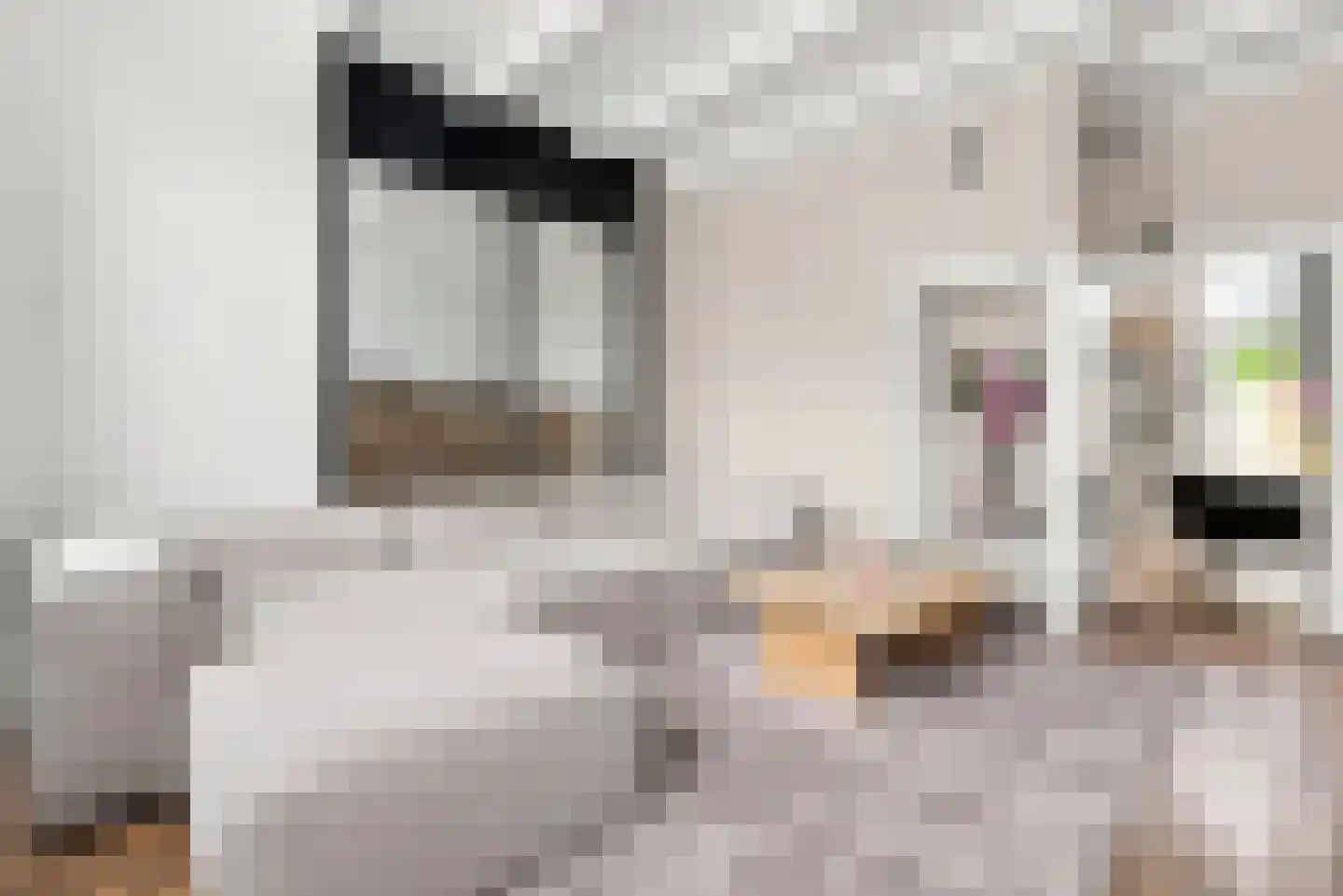 J.I. Sandersestraat 47 Oost-Souburg thumbnail 12