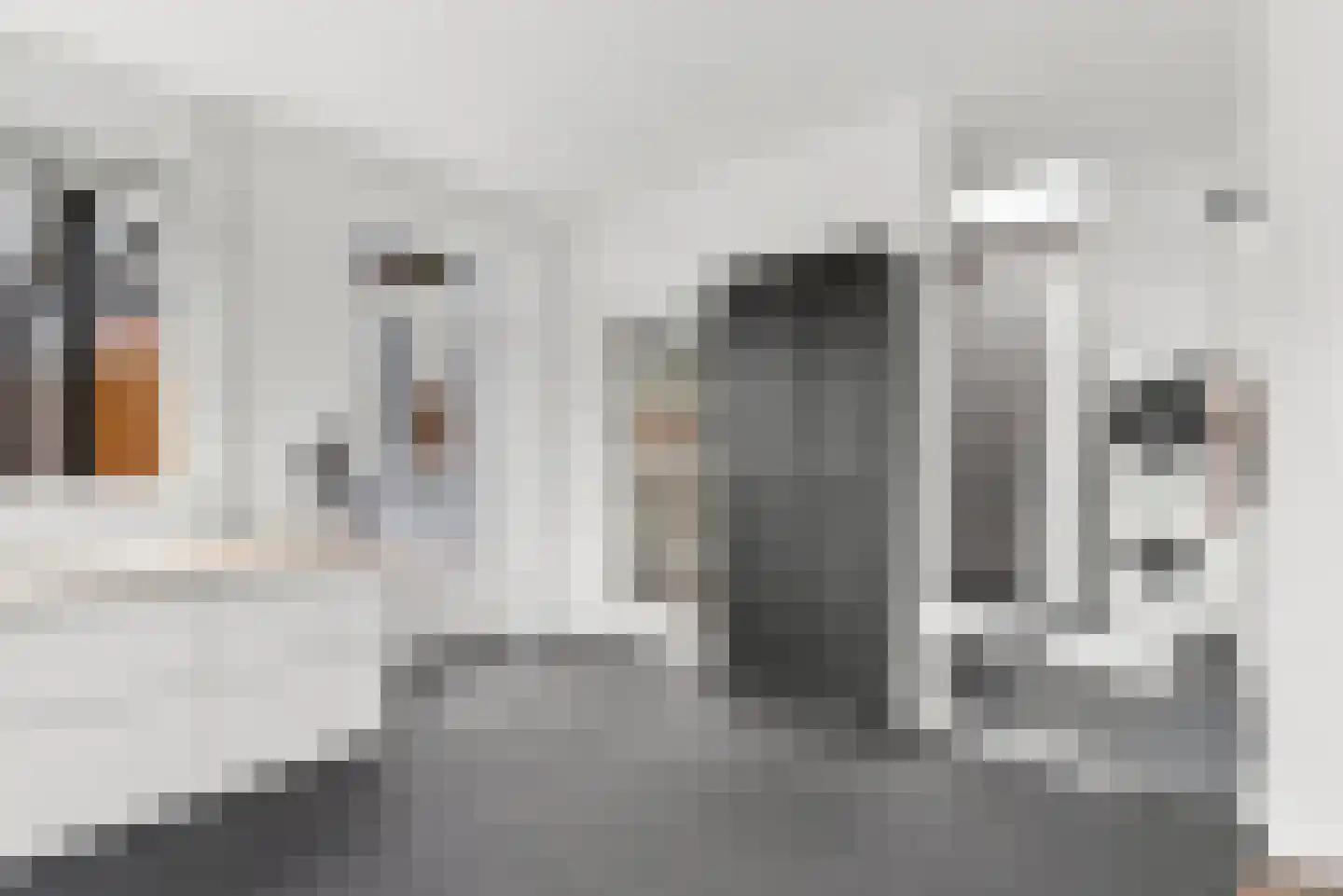 J.I. Sandersestraat 47 Oost-Souburg thumbnail 18