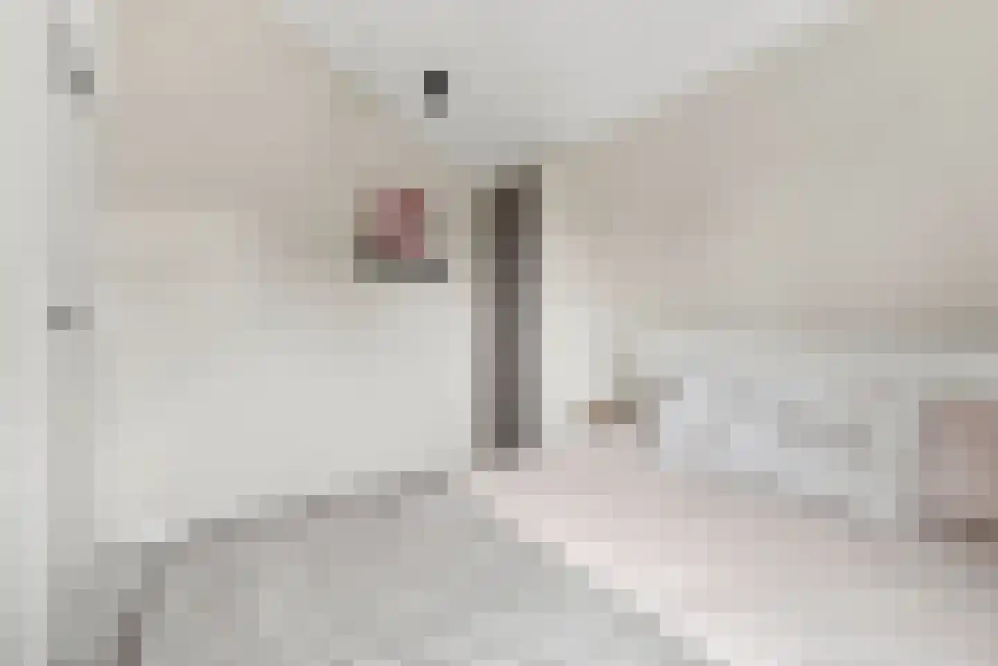 J.I. Sandersestraat 47 Oost-Souburg thumbnail 29
