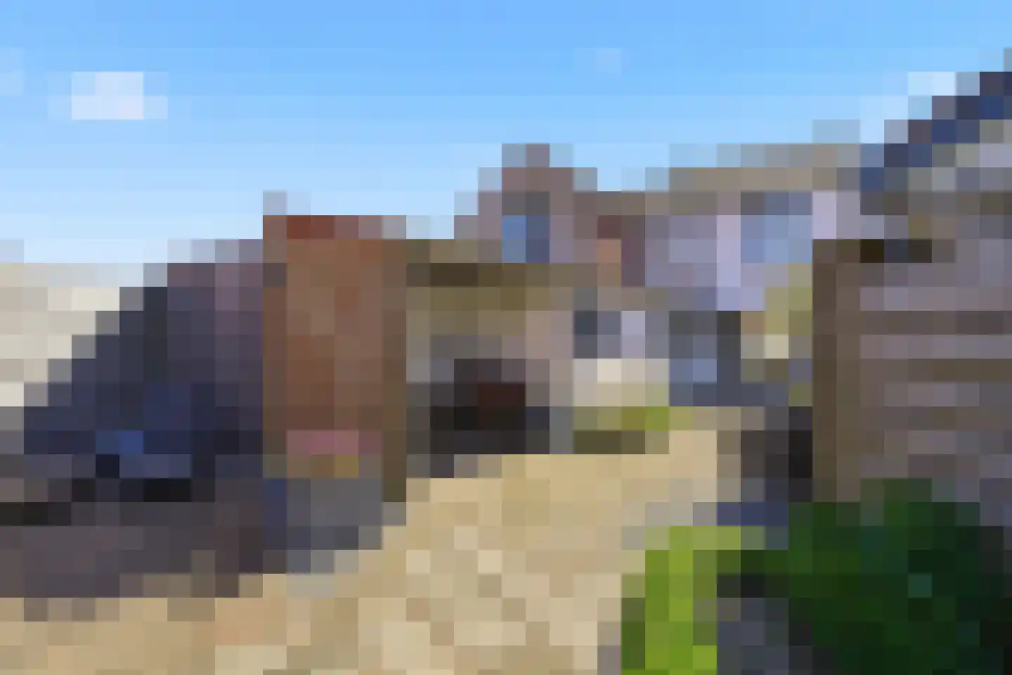 J.I. Sandersestraat 9 Oost-Souburg thumbnail 30