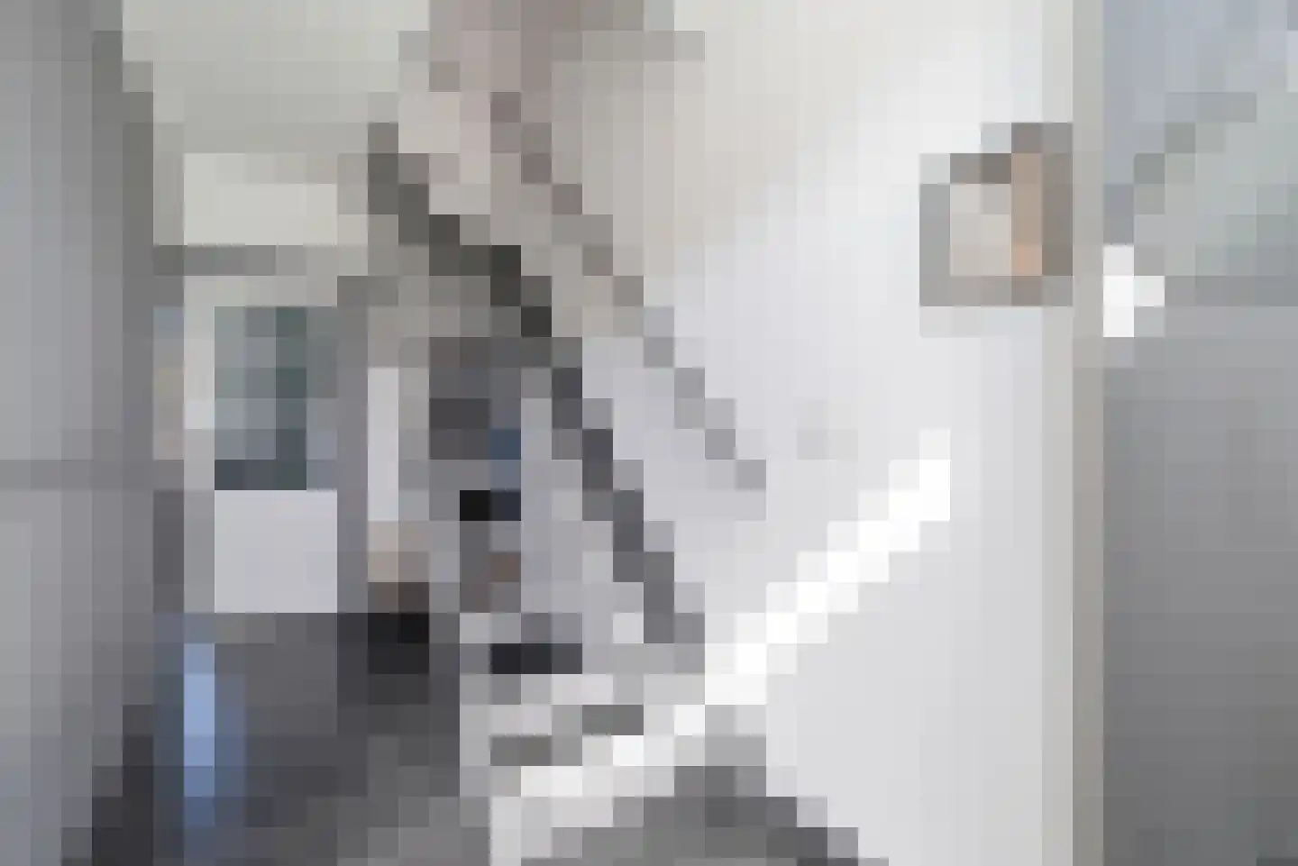 J.I. Sandersestraat 9 Oost-Souburg thumbnail 7