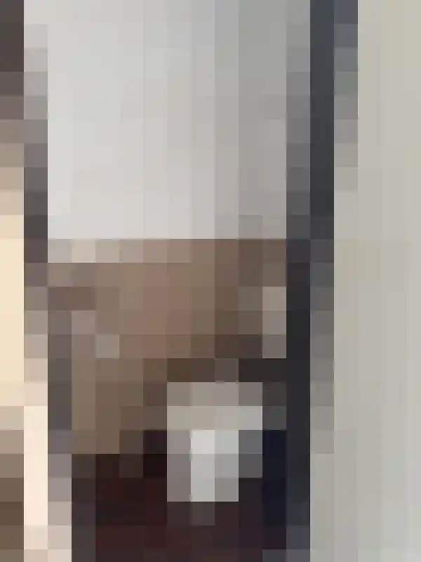 J. Ingenhovenstraat 10 Spijkenisse thumbnail 5