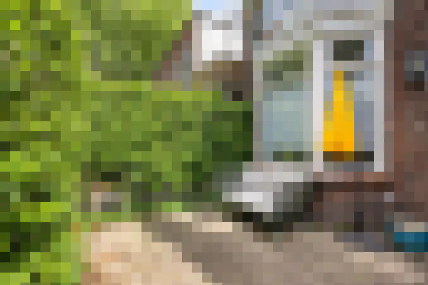 J.J.A. Goeverneurstraat 2 Dordrecht thumbnail 6