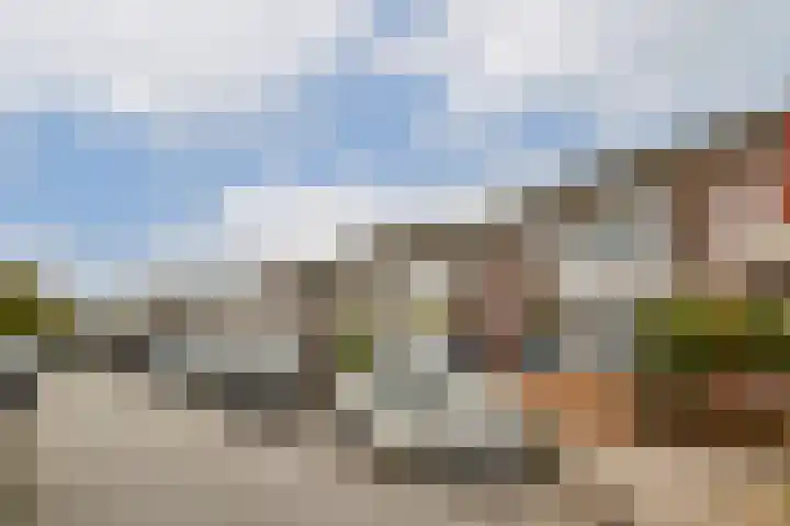 J.J.A. Goeverneurstraat 9 Dordrecht thumbnail 26