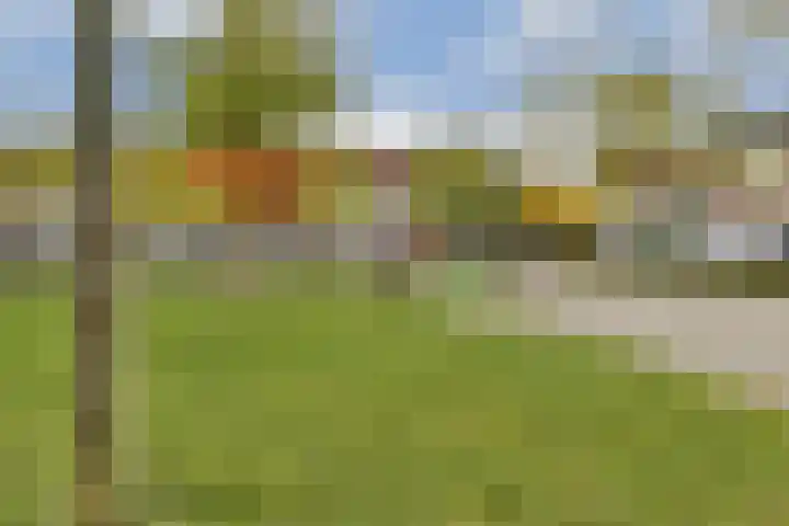 J.J.A. Goeverneurstraat 9 Dordrecht thumbnail 27