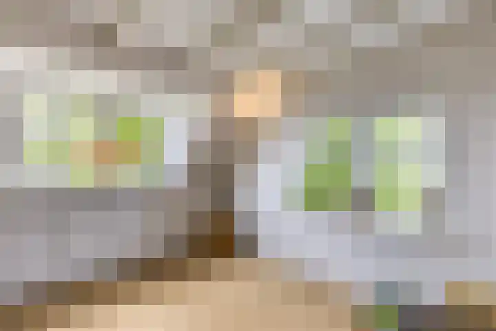 J.J. Allanstraat 100 Westzaan thumbnail 23