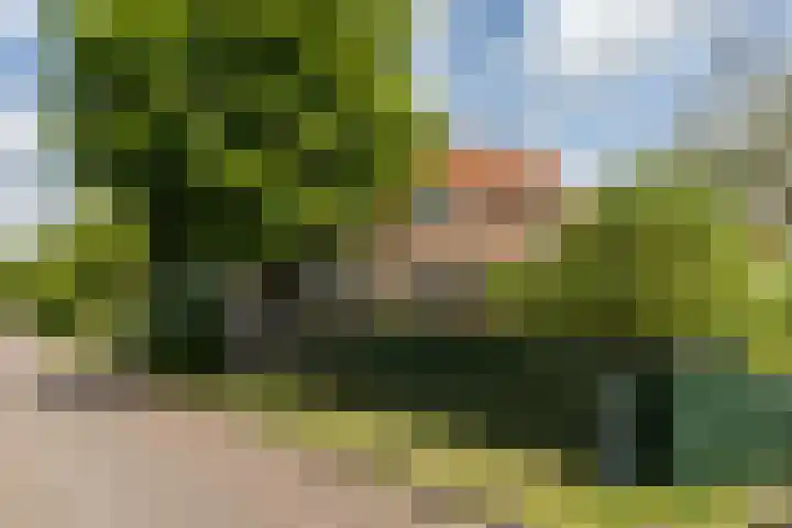 J.J. Allanstraat 100 Westzaan thumbnail 37