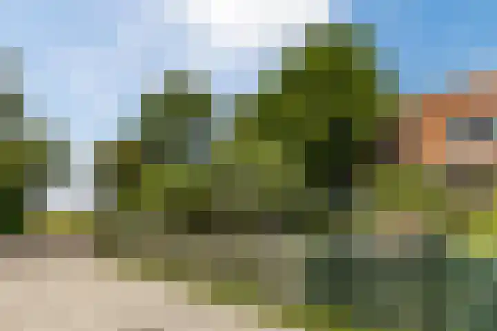 J.J. Allanstraat 100 Westzaan thumbnail 41