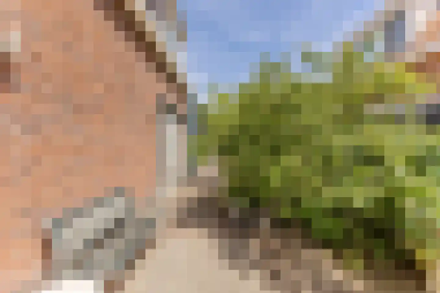 J.J. Allanstraat 266 a Westzaan thumbnail 13