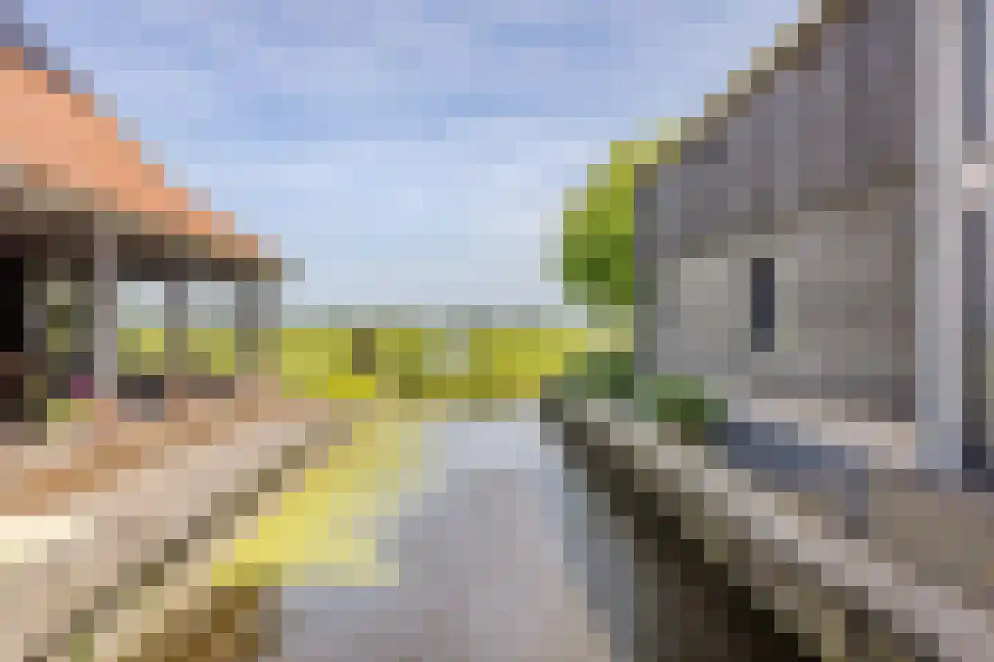 J.J. Allanstraat 266 a Westzaan thumbnail 28