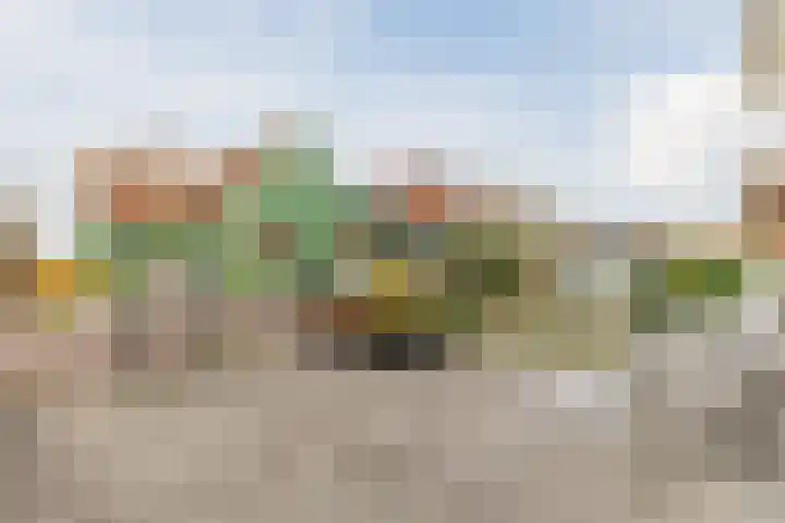 J.J. Allanstraat 298 Westzaan thumbnail 7