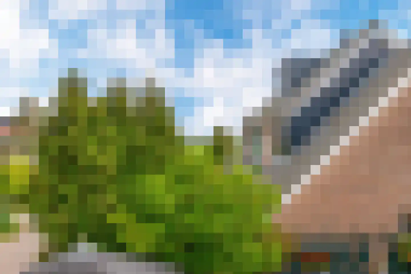 J.J. Allanstraat 300 Westzaan thumbnail 46