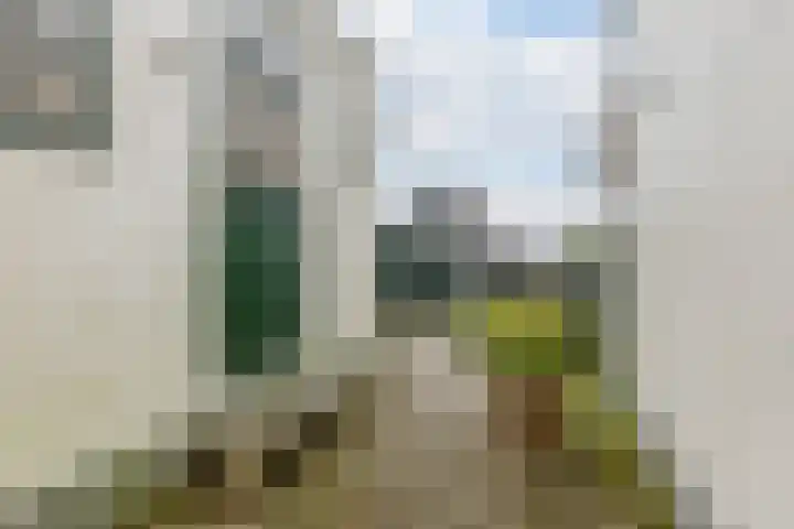 J.J. Allanstraat 371 Westzaan thumbnail 28