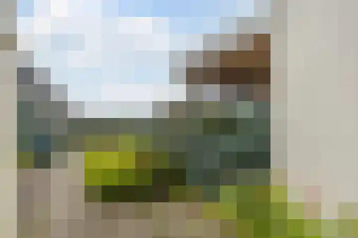 J.J. Allanstraat 371 Westzaan thumbnail 29