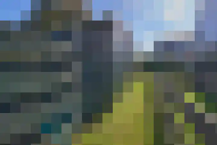 J.J. Allanstraat 371 Westzaan thumbnail 31