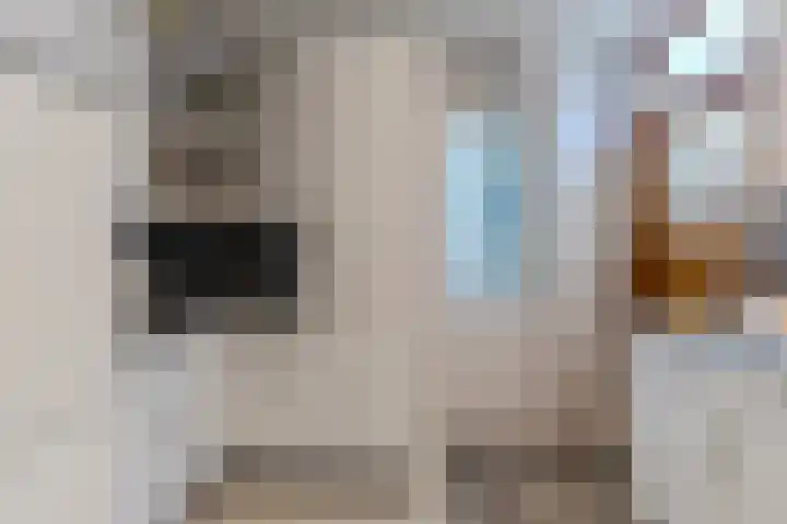 J.J. Allanstraat 371 Westzaan thumbnail 9
