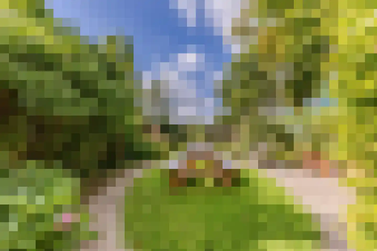 J.J. Allanstraat 461 Westzaan thumbnail 5