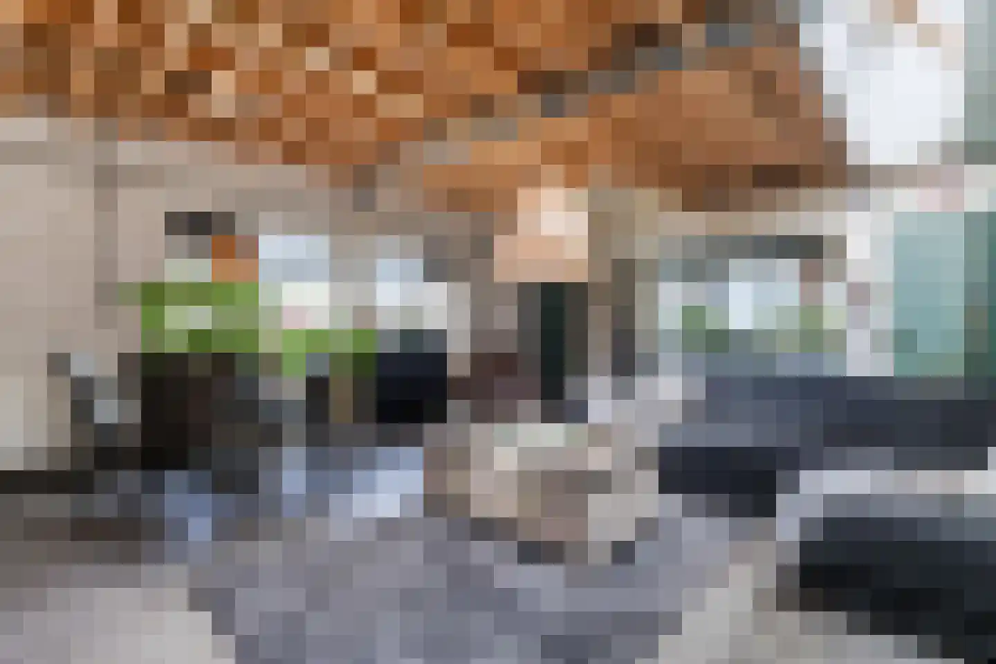 J.J. Allanstraat 64 Westzaan thumbnail 17