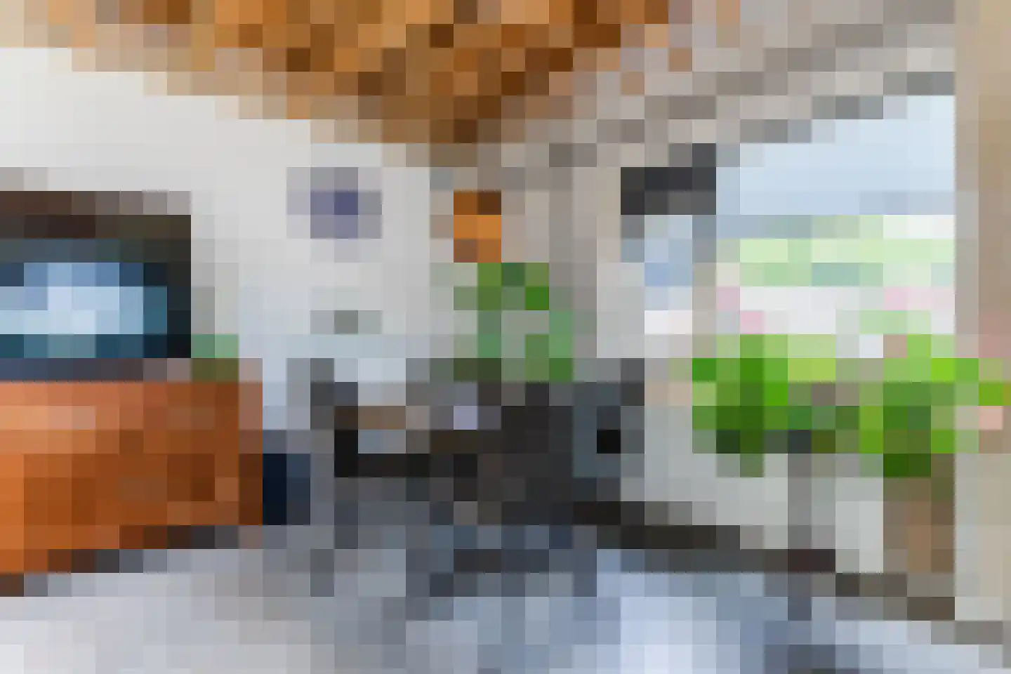 J.J. Allanstraat 64 Westzaan thumbnail 19