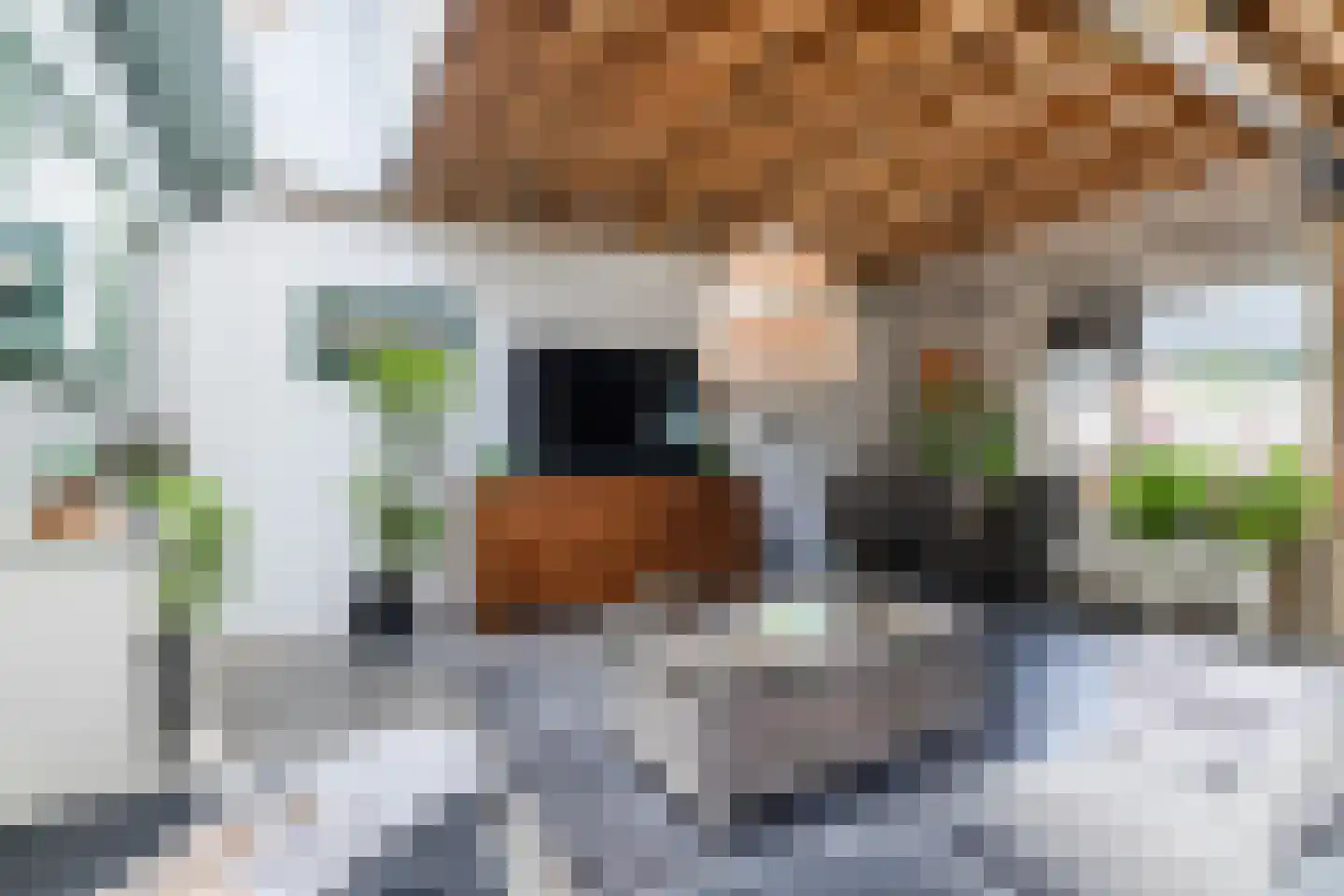 J.J. Allanstraat 64 Westzaan thumbnail 21