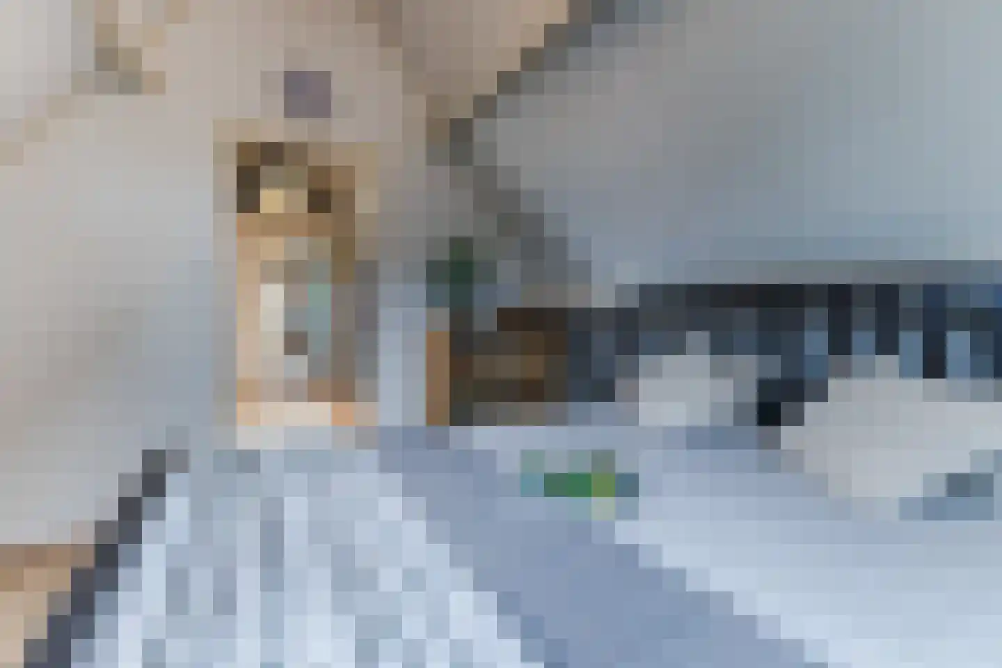 J.J. Allanstraat 64 Westzaan thumbnail 31