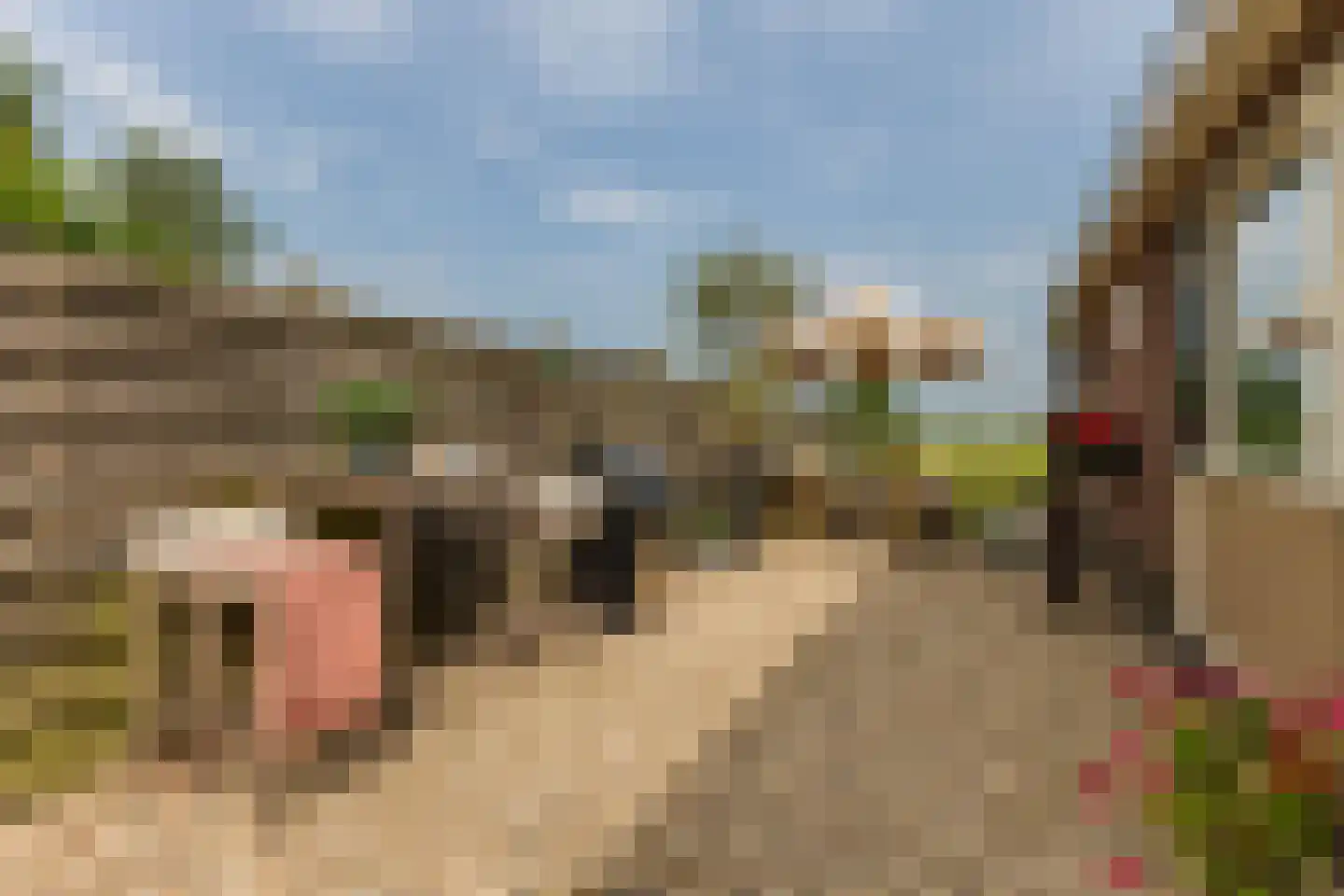 J.J. Allanstraat 64 Westzaan thumbnail 39