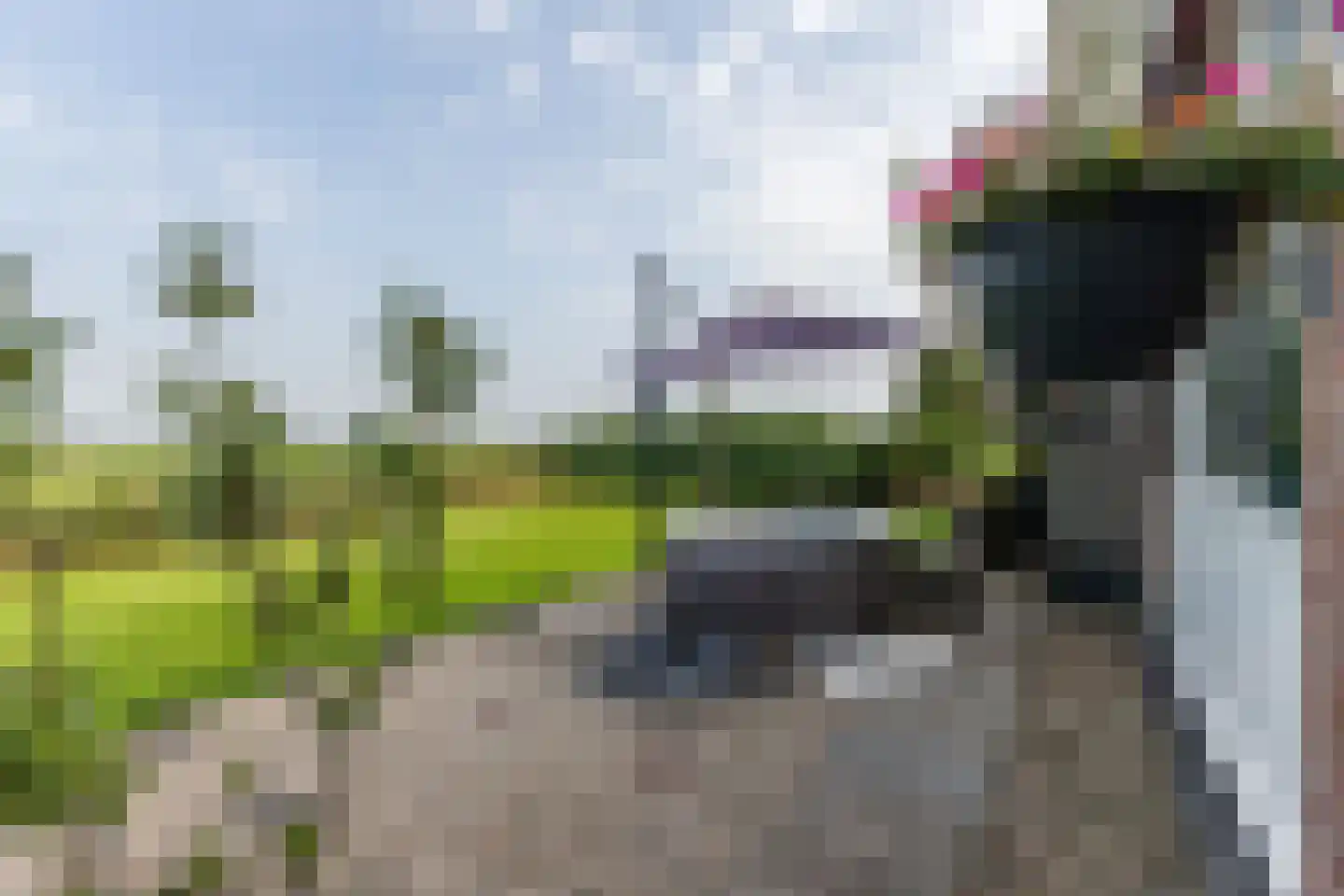 J.J. Allanstraat 64 Westzaan thumbnail 40