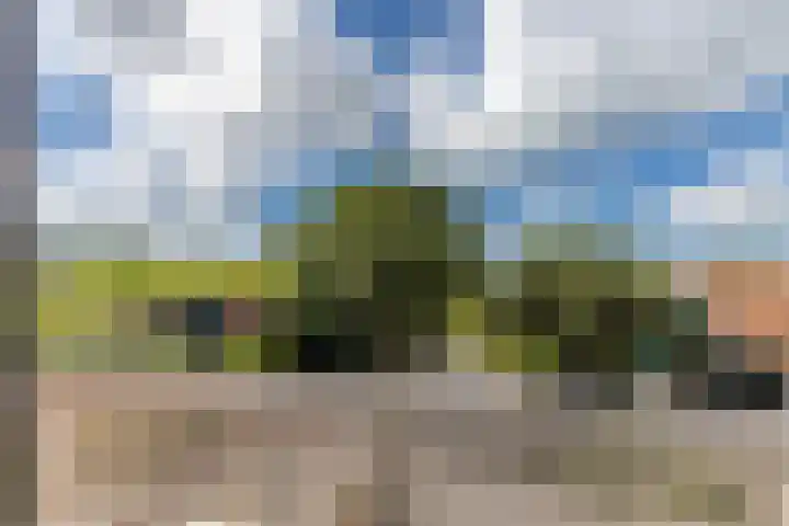 J.J. Allanstraat 77 Westzaan thumbnail 32