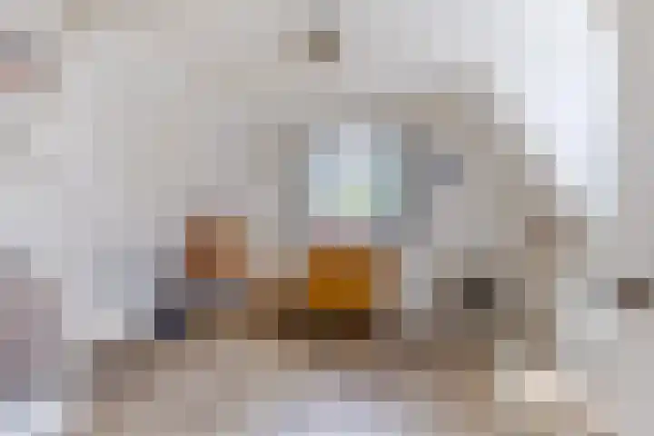 J.J. Allanstraat 77 Westzaan thumbnail 33