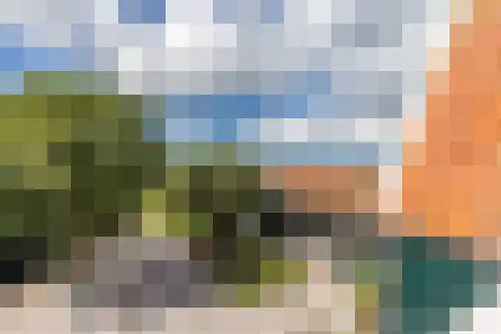 J.J. Allanstraat 77 Westzaan thumbnail 42