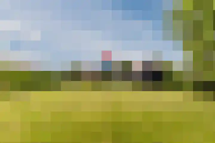 J.J. Allanstraat 77 Westzaan thumbnail 54