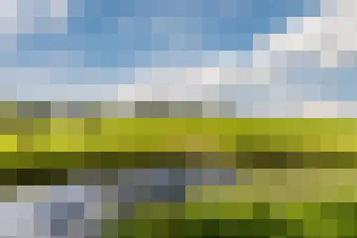 J.J. Allanstraat 77 Westzaan thumbnail 59