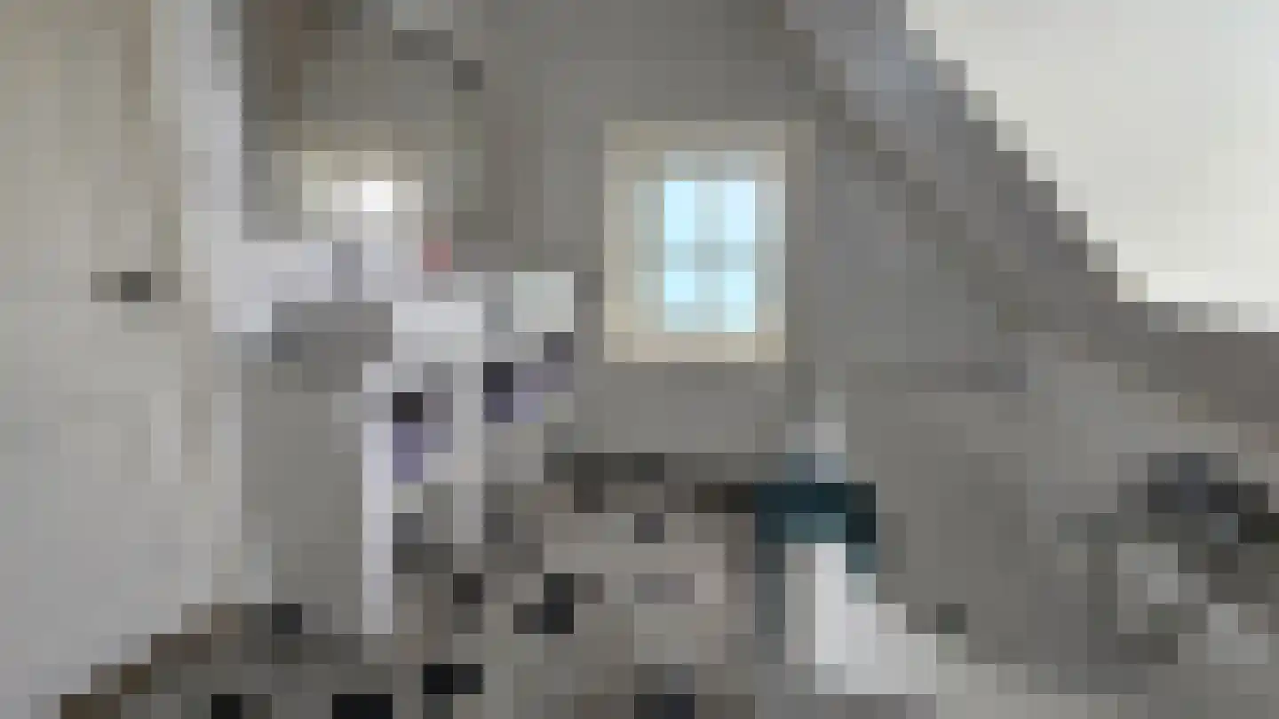 J.J. Allanstraat 98 Westzaan thumbnail 37