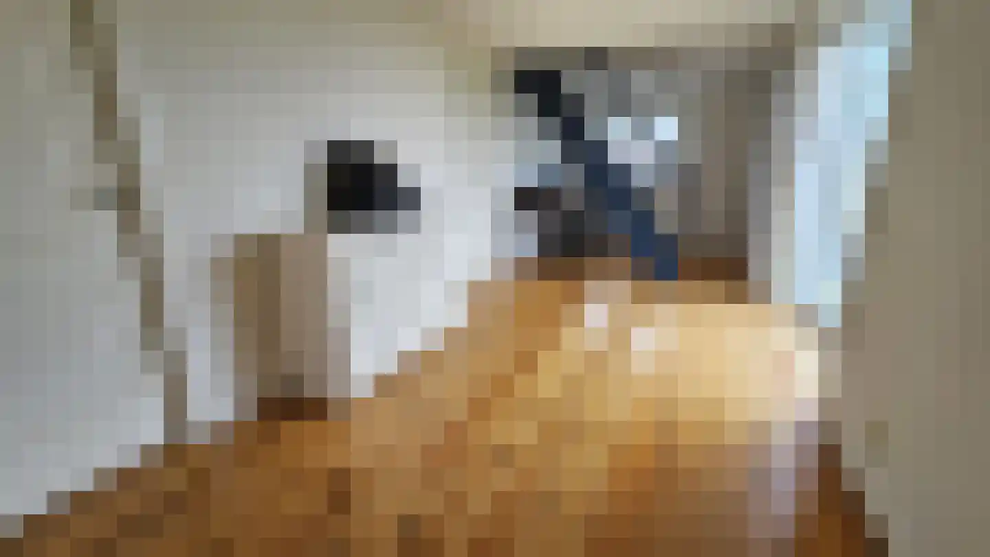 J.J. Allanstraat 98 Westzaan thumbnail 39