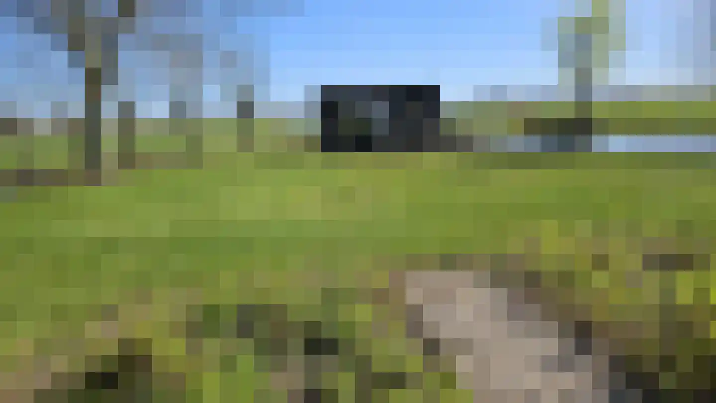 J.J. Allanstraat 98 Westzaan thumbnail 56