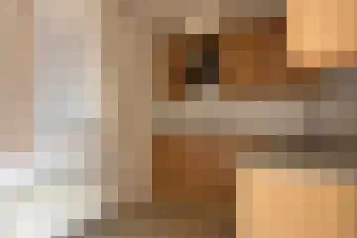 J.J. Benteijnstraat 39 IJzendijke thumbnail 10