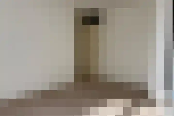 J.J. Benteijnstraat 39 IJzendijke thumbnail 17