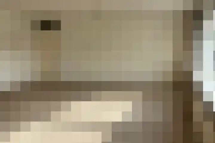 J.J. Benteijnstraat 39 IJzendijke thumbnail 6